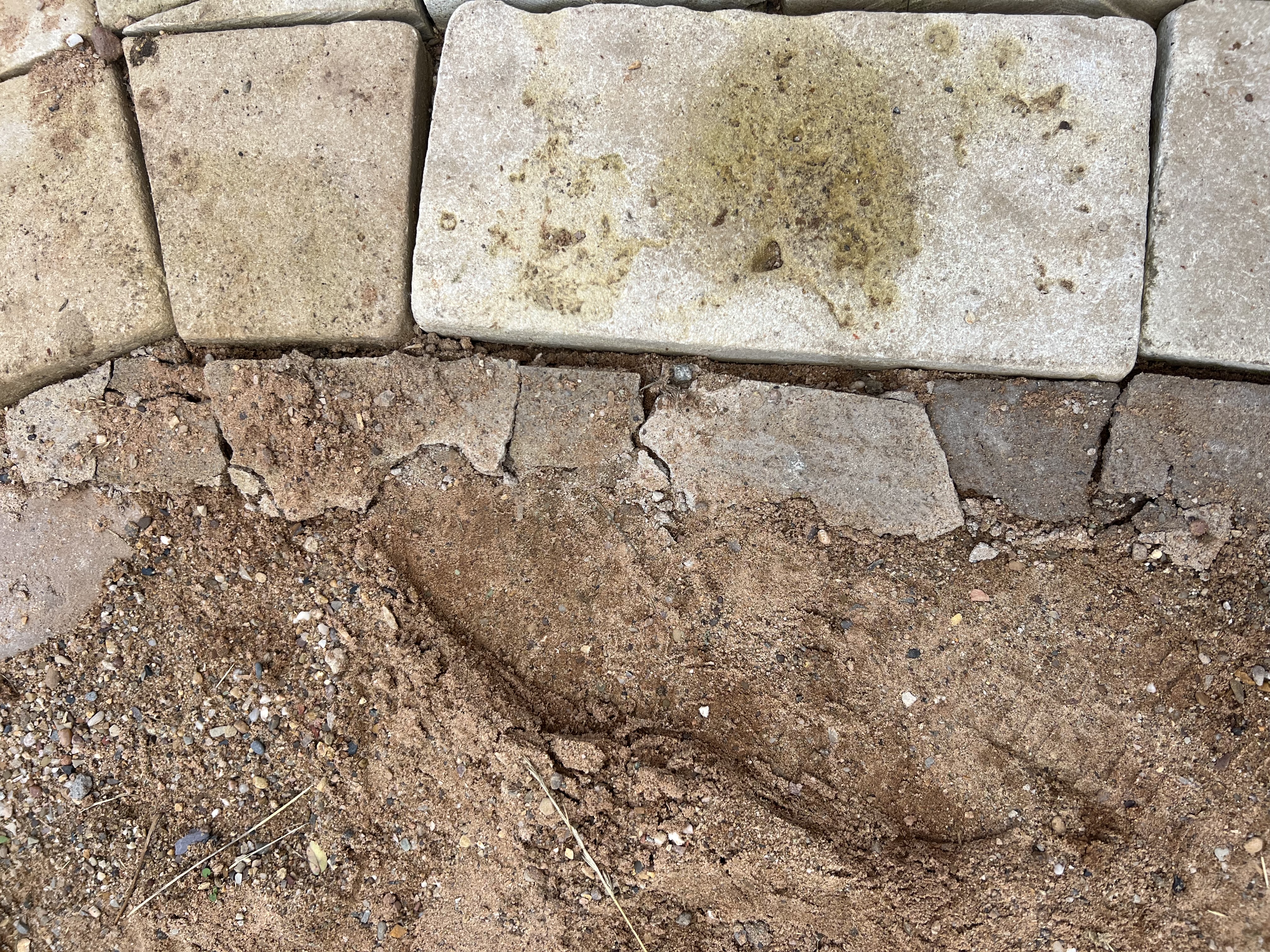 Inadequate mortar haunch on block paving that has broken down