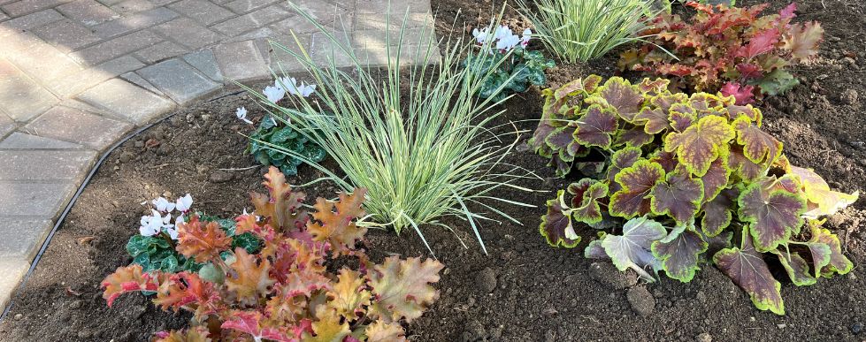 Borderguard hidden by soil and planting